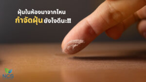 ฝุ่นในห้องเกิดจากอะไร กำจัดอย่างไรดี